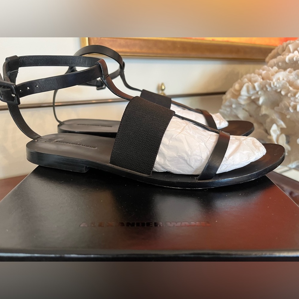 Alexander Wang Cara Sandals size 9.5 $59